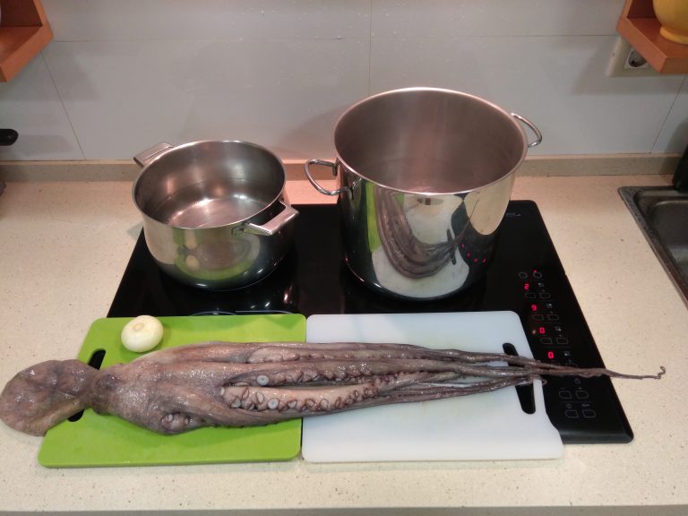 Gastronomía en verso | Polbo á feira o pulpo á feira con patatas.